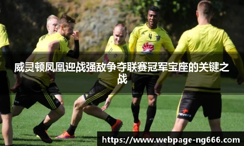 威灵顿凤凰迎战强敌争夺联赛冠军宝座的关键之战